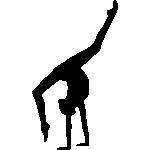 Akrobatyka