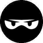 Ninja kids